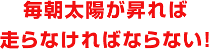 毎朝太陽が昇れば走らなければならない！